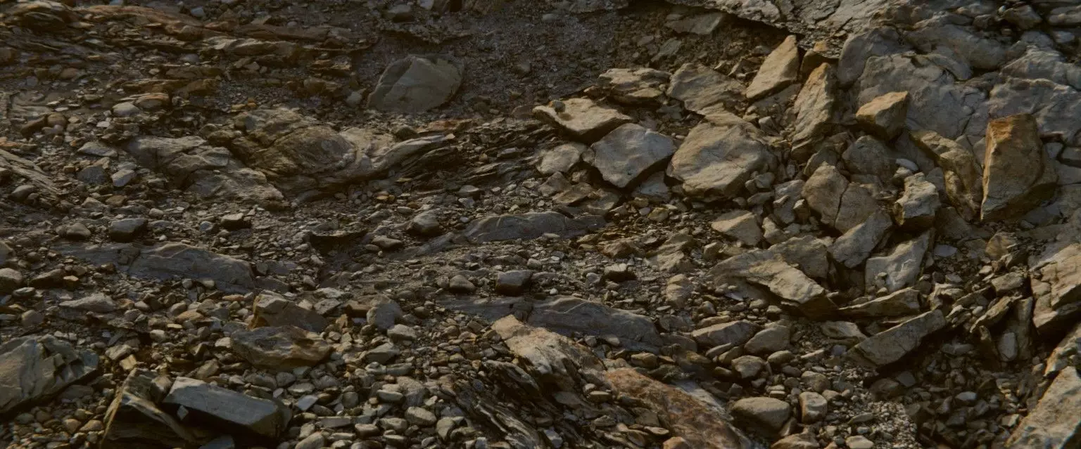 22 Photorealistic 3D Scans Of A Dry Lakebed and Scene 3D model_8