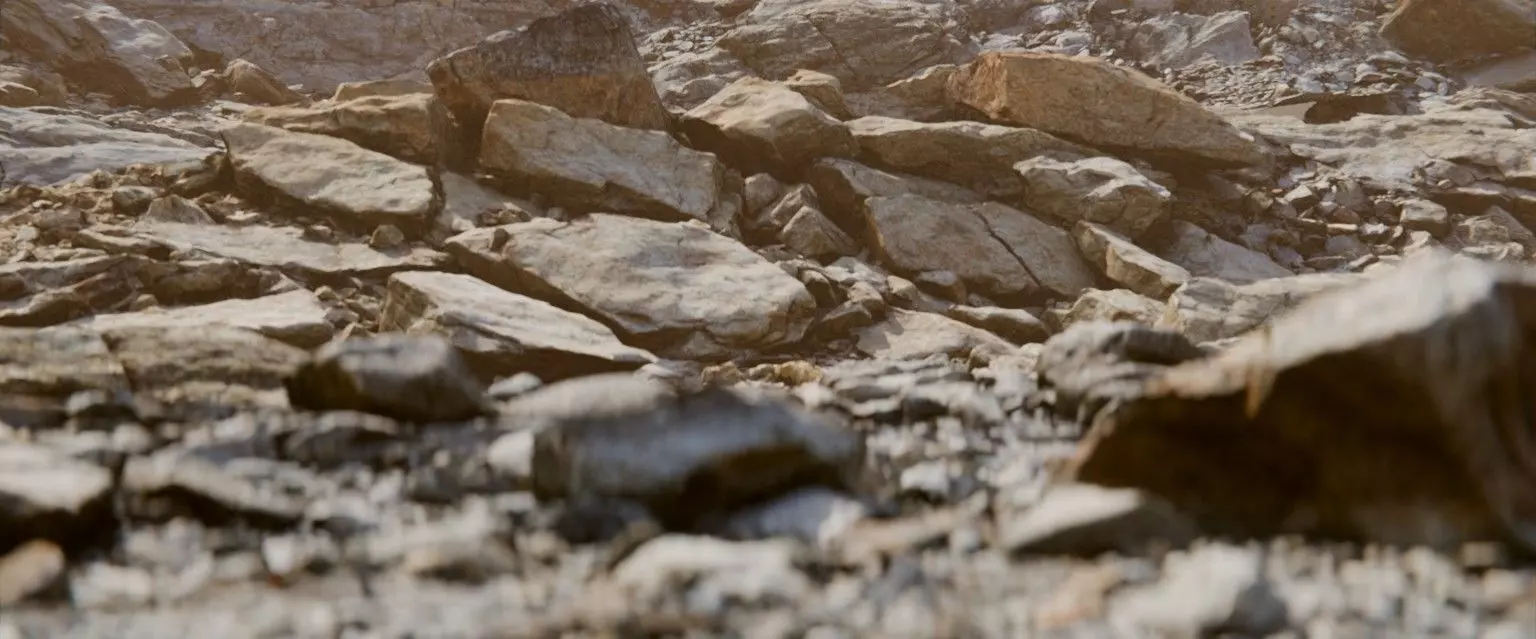 22 Photorealistic 3D Scans Of A Dry Lakebed and Scene 3D model_7