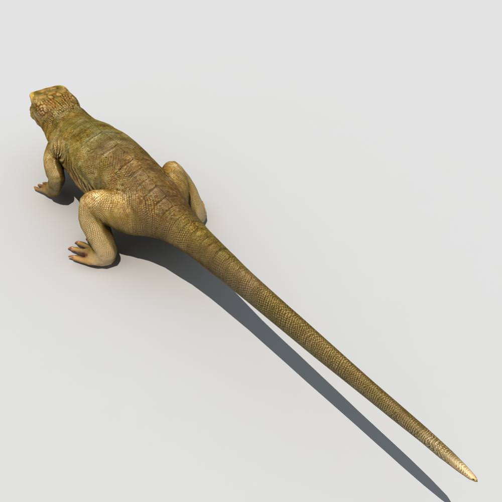 Lizard 3D Model rigged .max .fbx .ma .mb .mtl