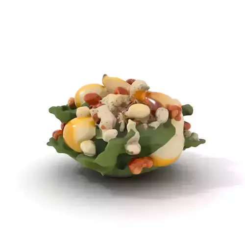 Pear Walnut Salad Model Pack