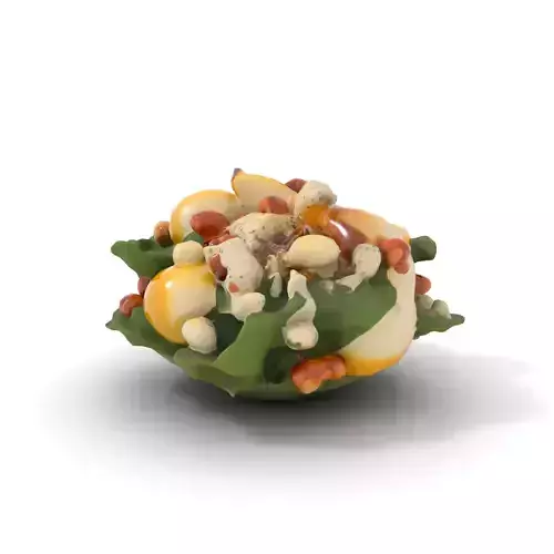Pear Walnut Salad Model Pack Low-poly 3D model 6