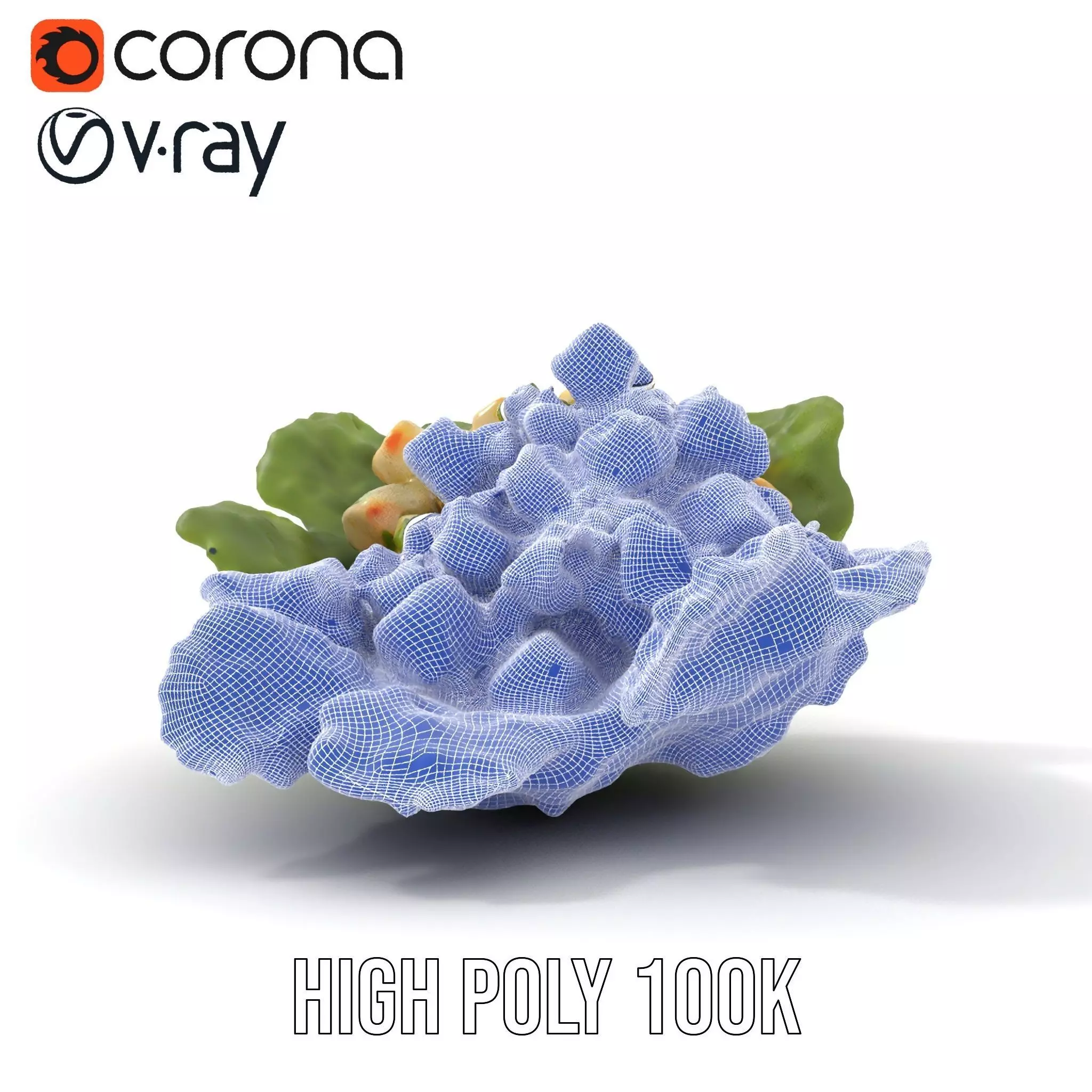 Fresh Seafood Salad on Lettuce model pack Low-poly 3D model_33