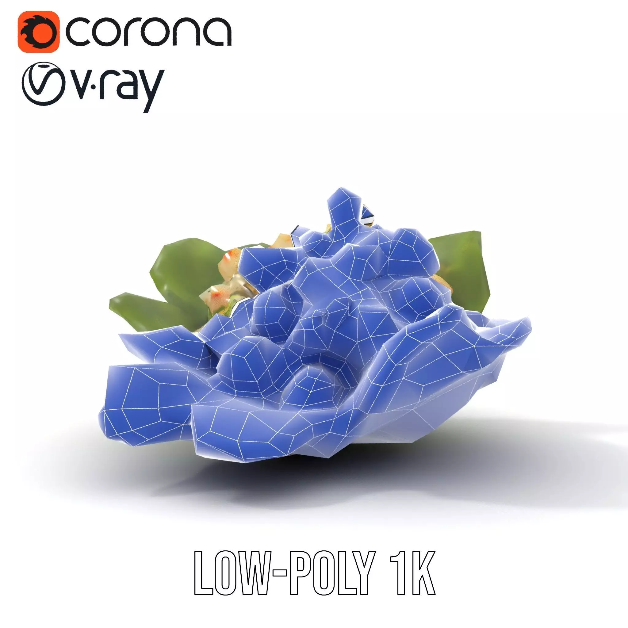 Fresh Seafood Salad on Lettuce model pack Low-poly 3D model_25