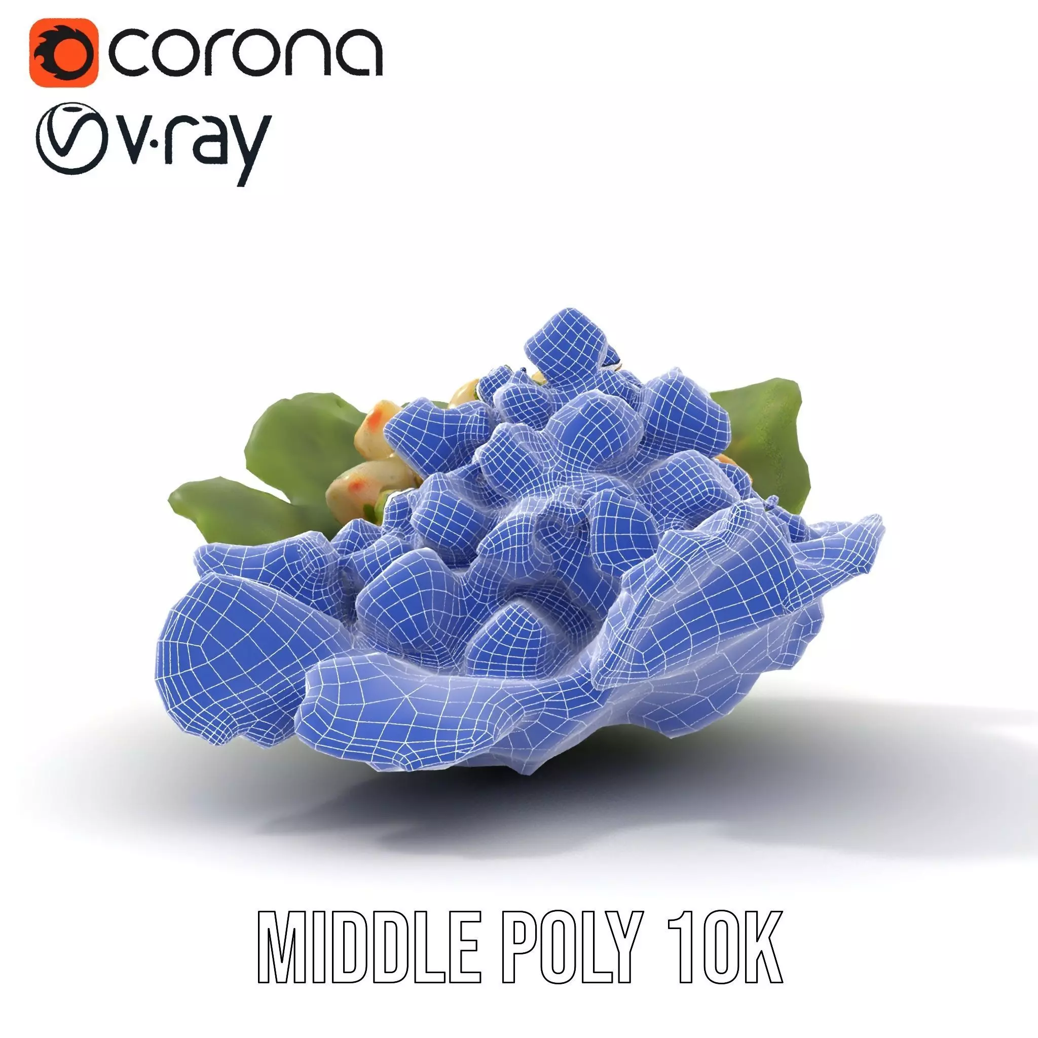 Fresh Seafood Salad on Lettuce model pack Low-poly 3D model_24