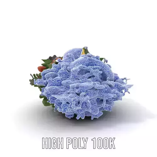Avocado Kale Salad Model Pack with Almonds and Parmesan Low-poly 3D model 4