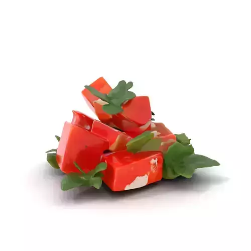 Watermelon Salad with Mint and Cheese Model Pack