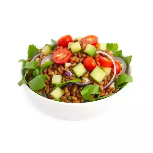 Colorful Grain Salad Bowl Model Pack Low-poly 3D model 2