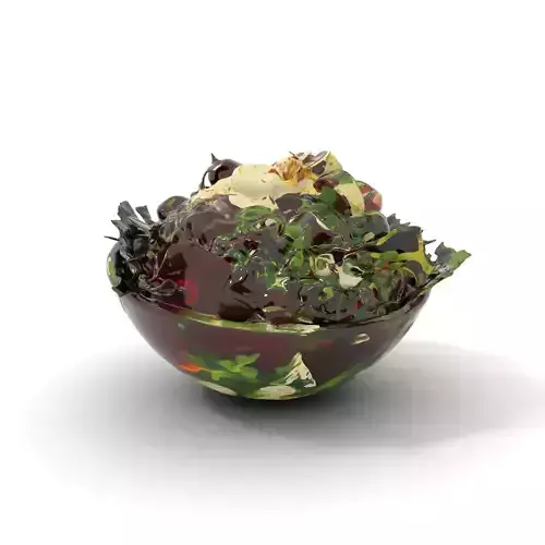 Beetroot Salad with Arugula and Cheese Model Pack Low-poly 3D model