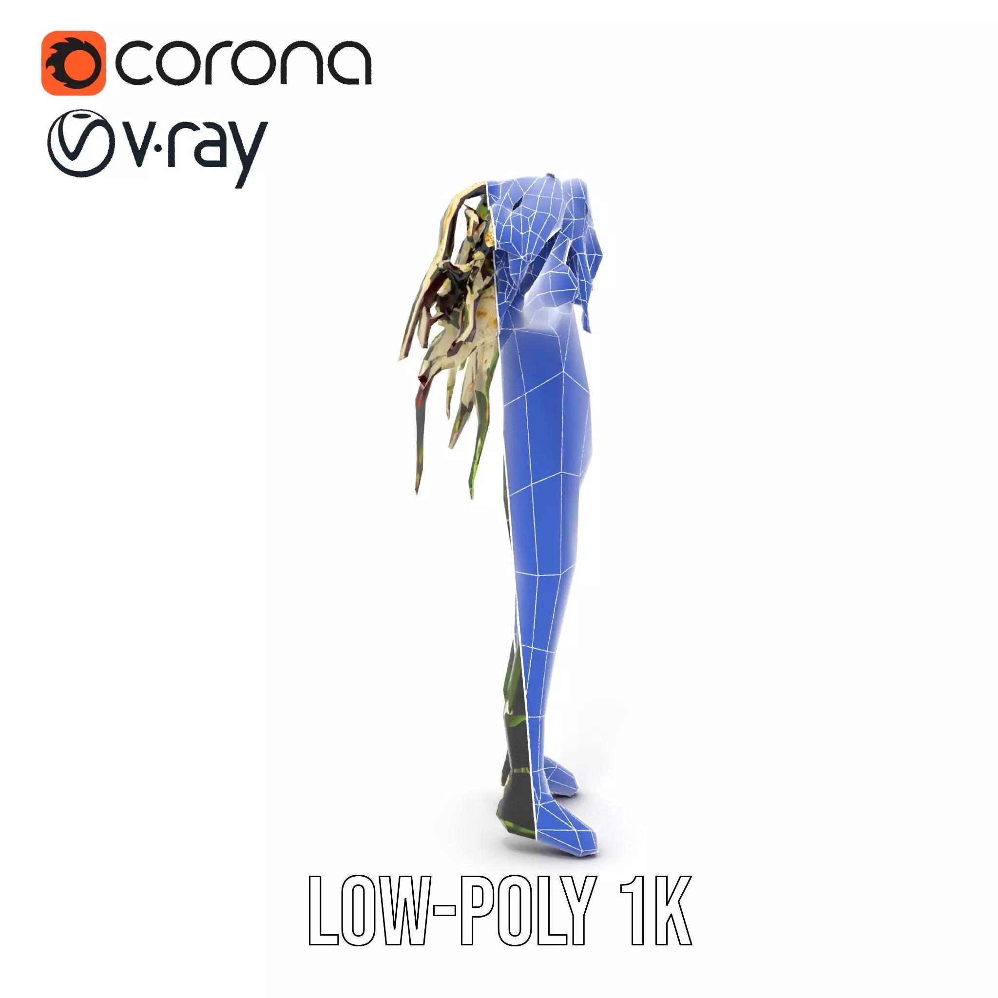 Beetroot Salad with Arugula and Cheese Model Pack Low-poly 3D model_30