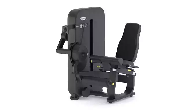 Technogym Selectorized Artis Leg Extension