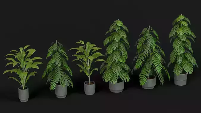 Game Ready Office Plants Low-poly 3D model