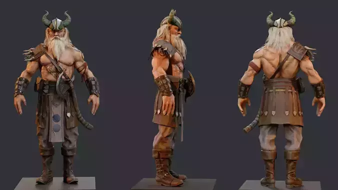 Viking warrior Game resolution