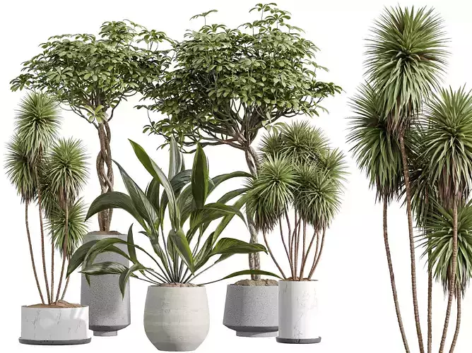 AV Indoor Plants Set 294 