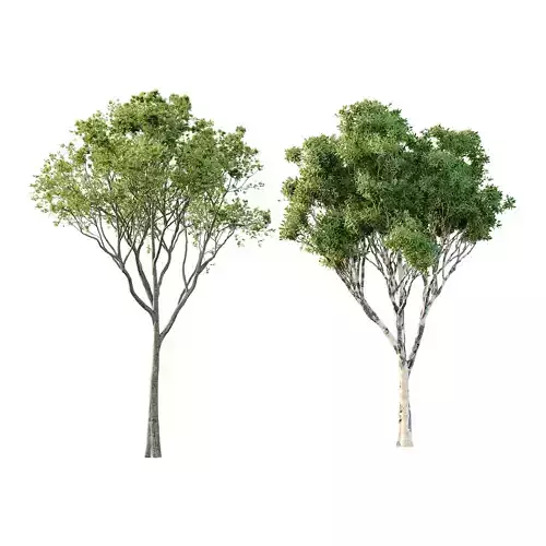 Different Trees 20 3D model