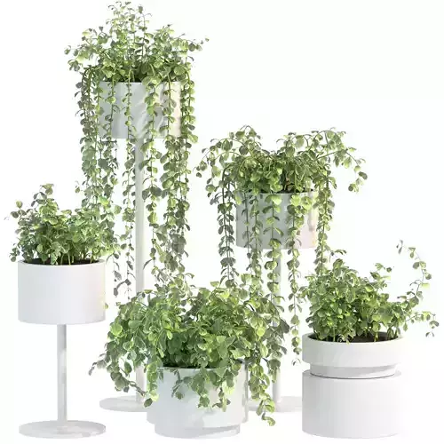 White Metal Plant Set