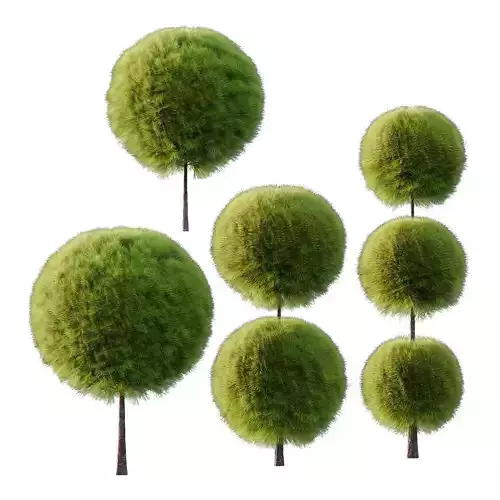 Juniperus scopulorum Tree 03 3D model