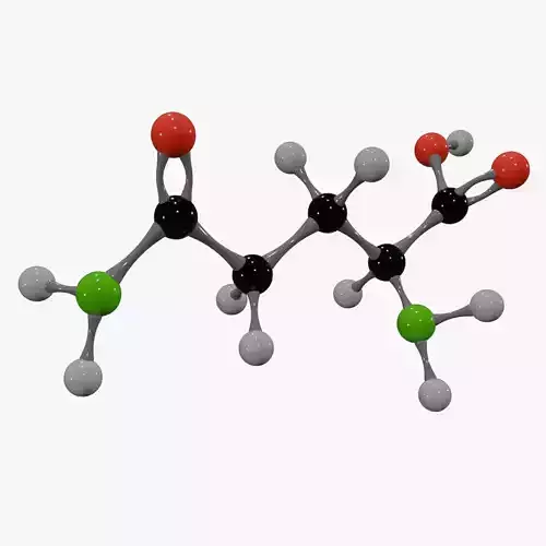 Glutamine Molecule