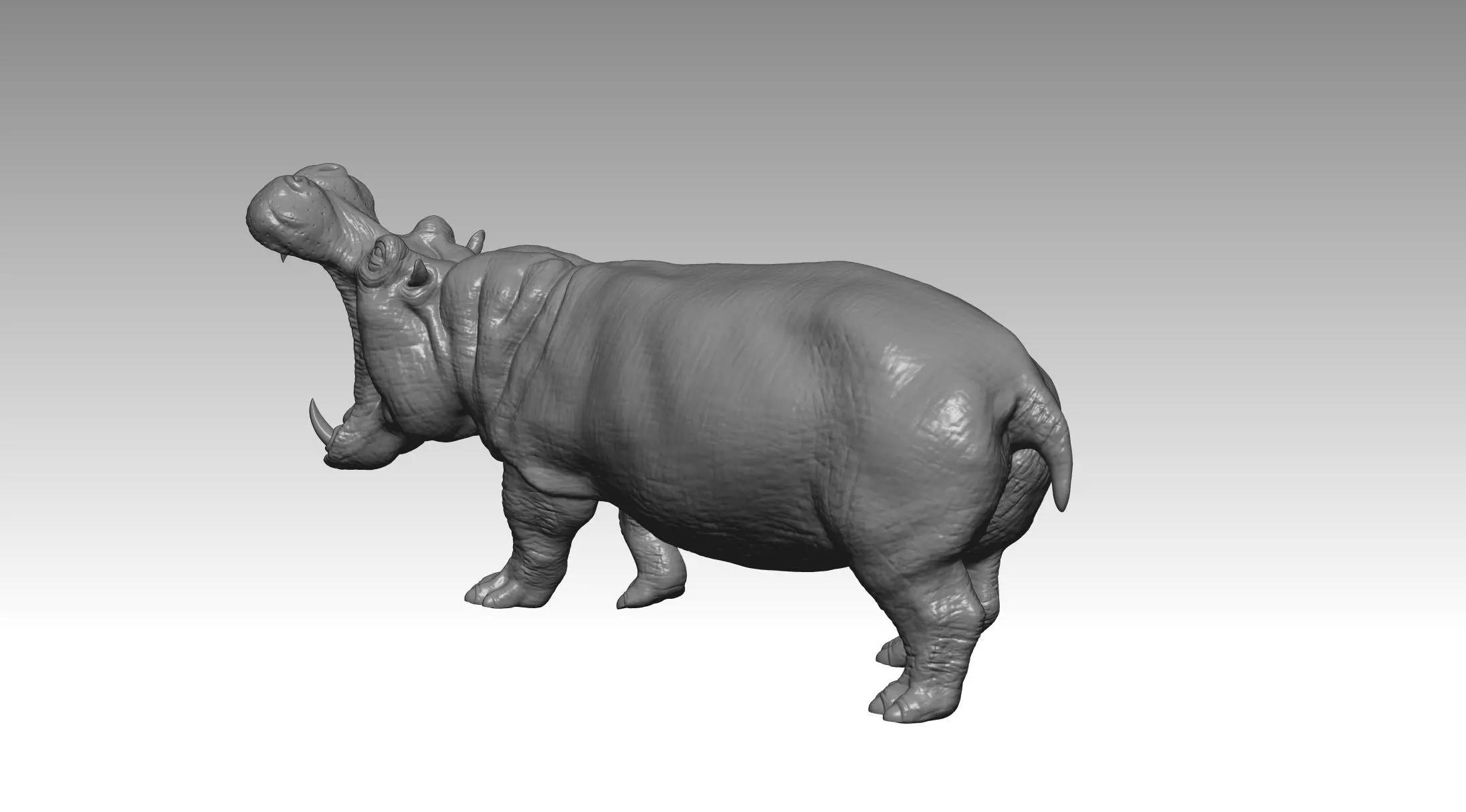 HIPPO FIGHT 2 3D print model_4