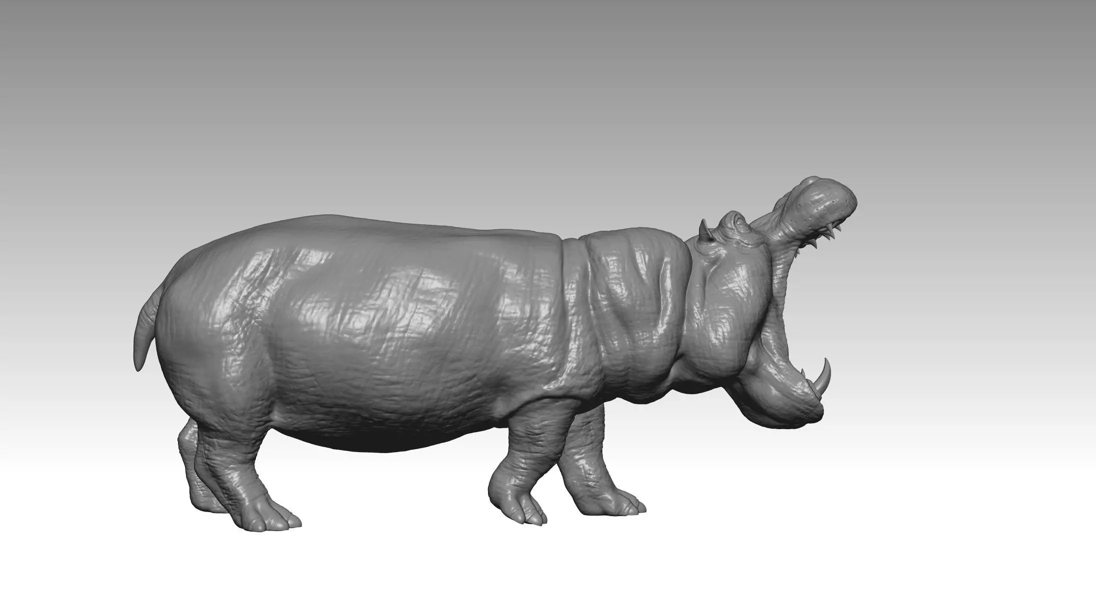 HIPPO FIGHT 2 3D print model_2