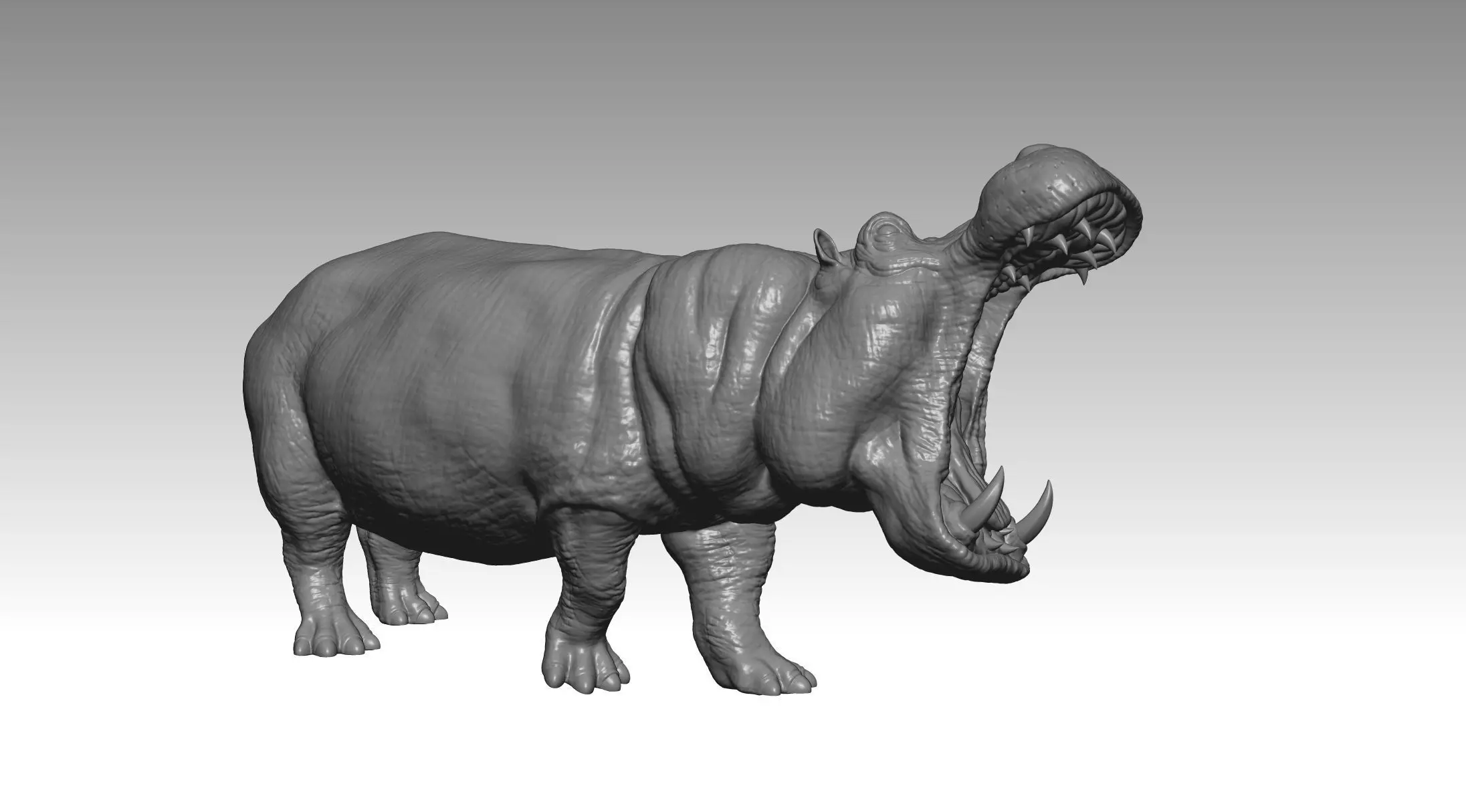 HIPPO FIGHT 2 3D print model_6