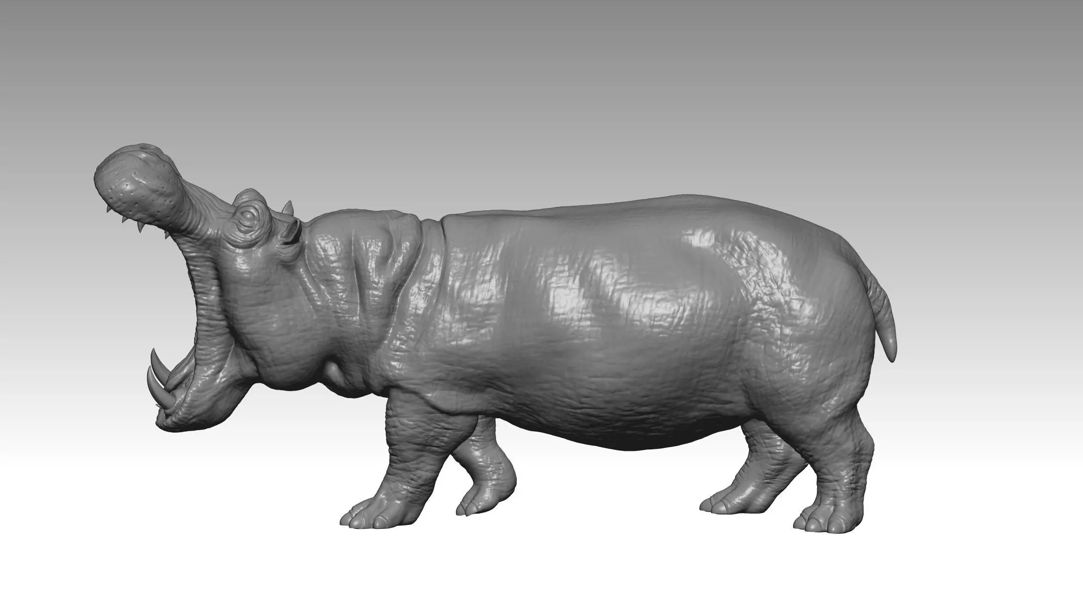 HIPPO FIGHT 2 3D print model_0