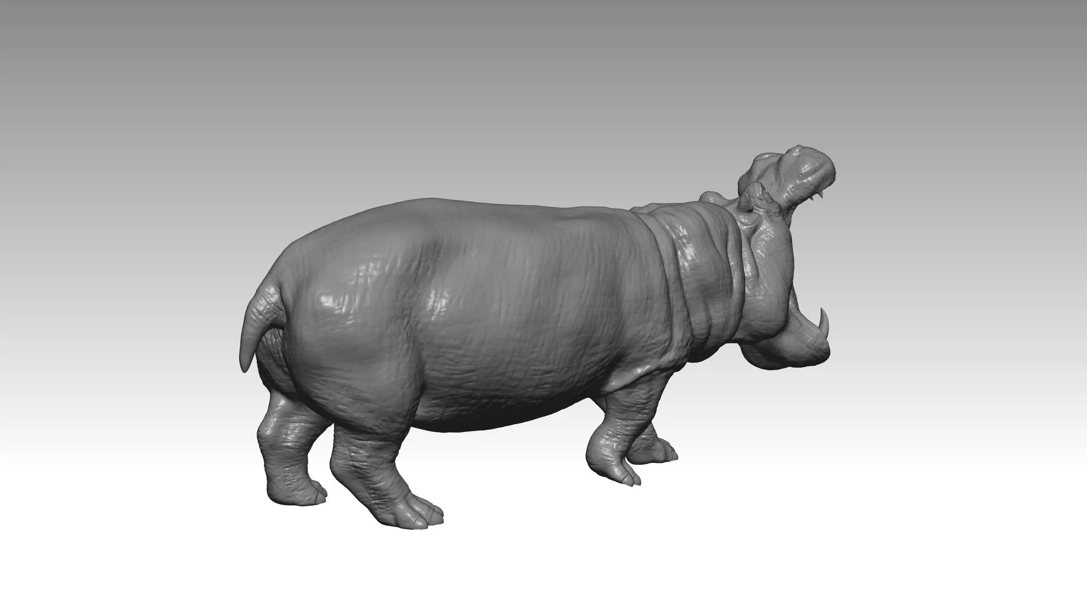 HIPPO FIGHT 2 3D print model_7