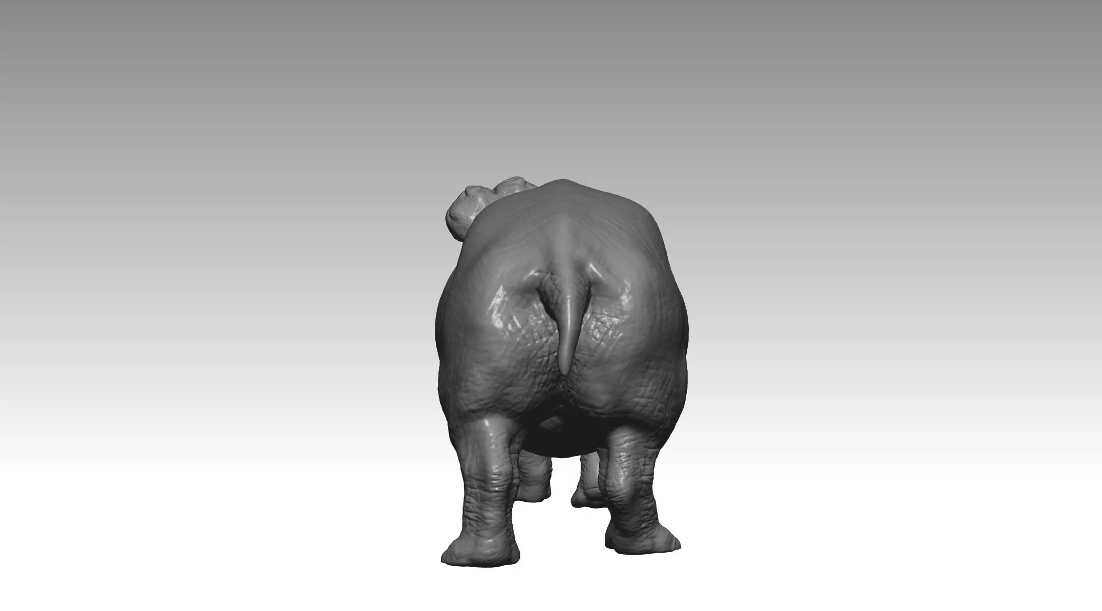 HIPPO FIGHT 2 3D print model_3