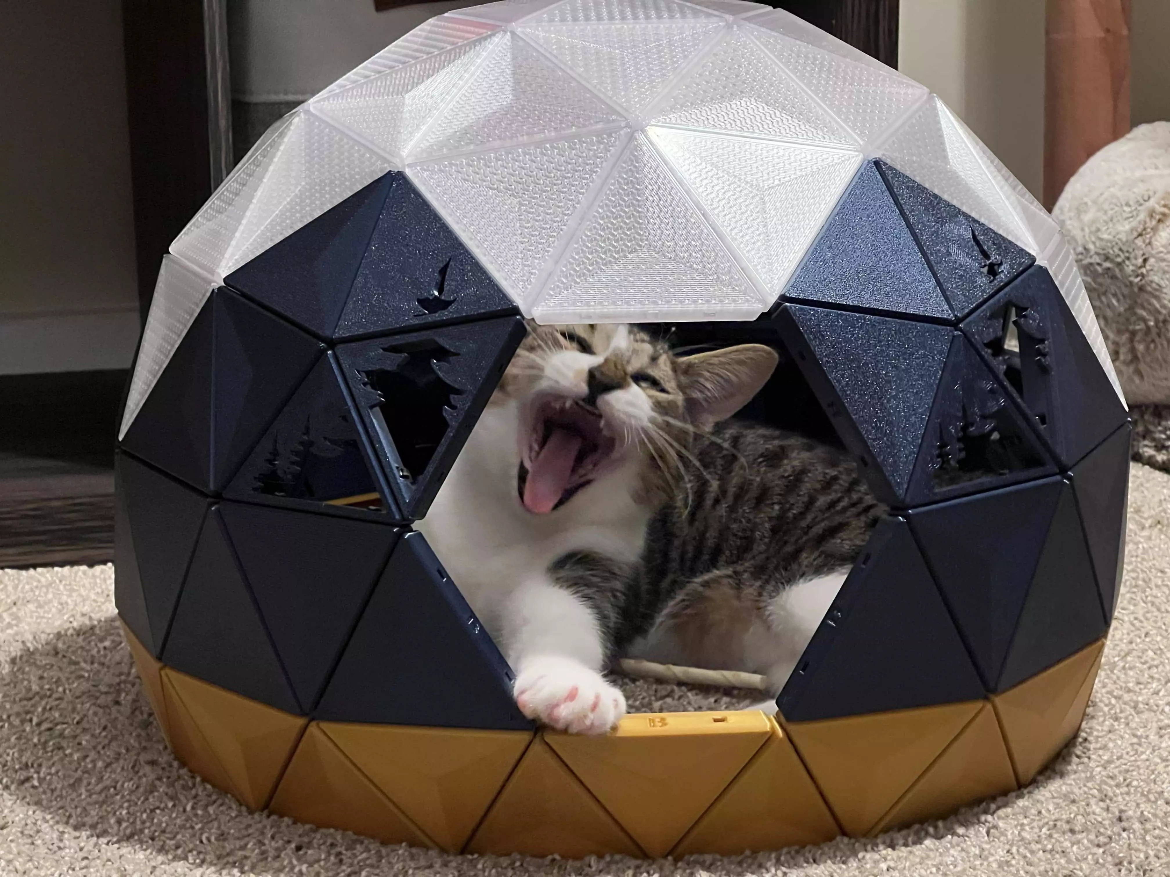 Future Cat House 3D print model