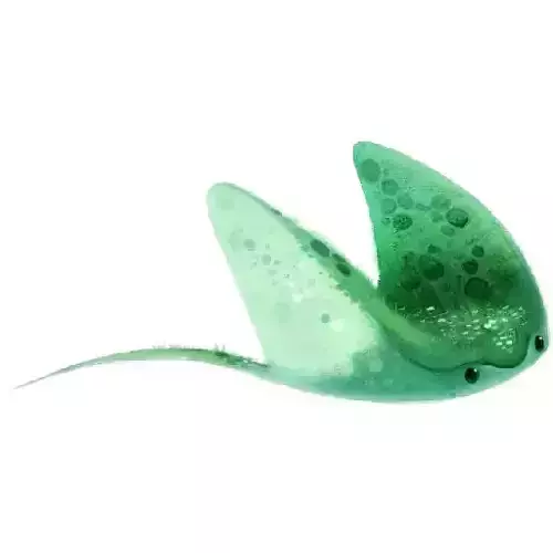 Cute Sea Sprite Ray Stylized Fantasy Creature cartoony style