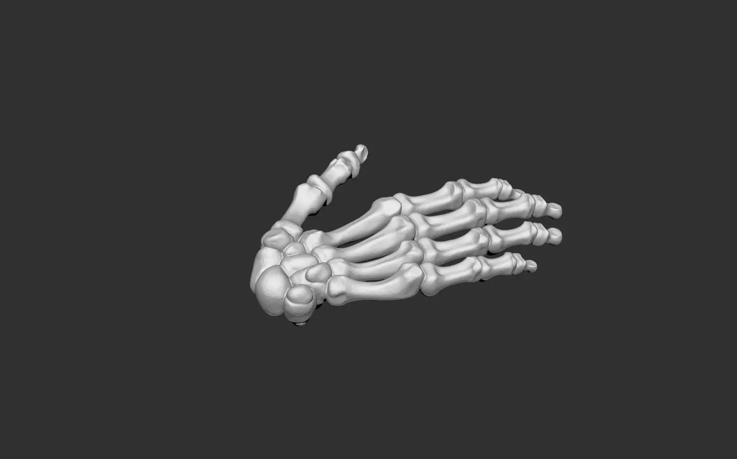 hand human anatomy bones 3D print model_1