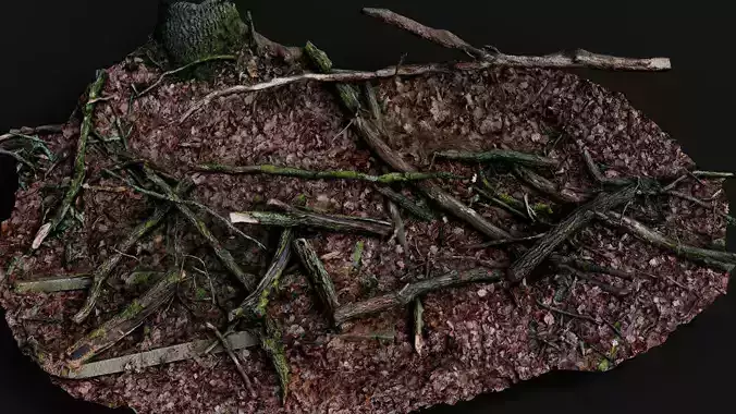 forest ground broken tree branches pt1 PBR photogrammetry