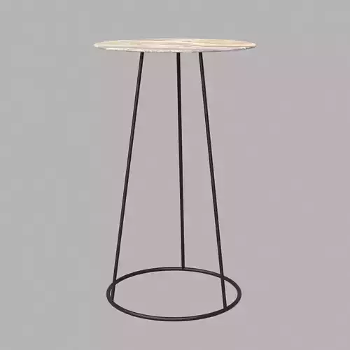 Gomeisaxa Coffee Table