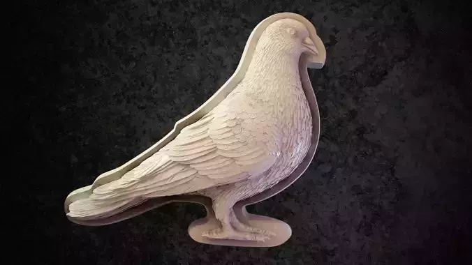 Pigeon