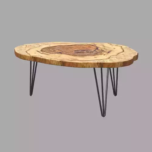 Bryxal Coffee Table