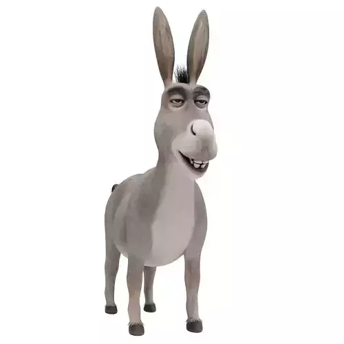 Donkey