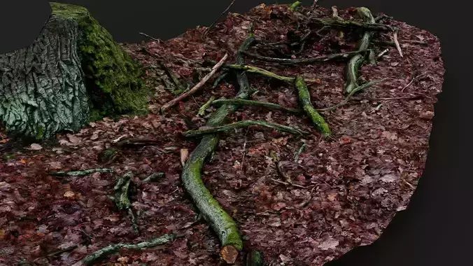 forest ground broken tree branches pt2 PBR photogrammetry