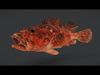 Ocean Fish Pack  3D model_2
