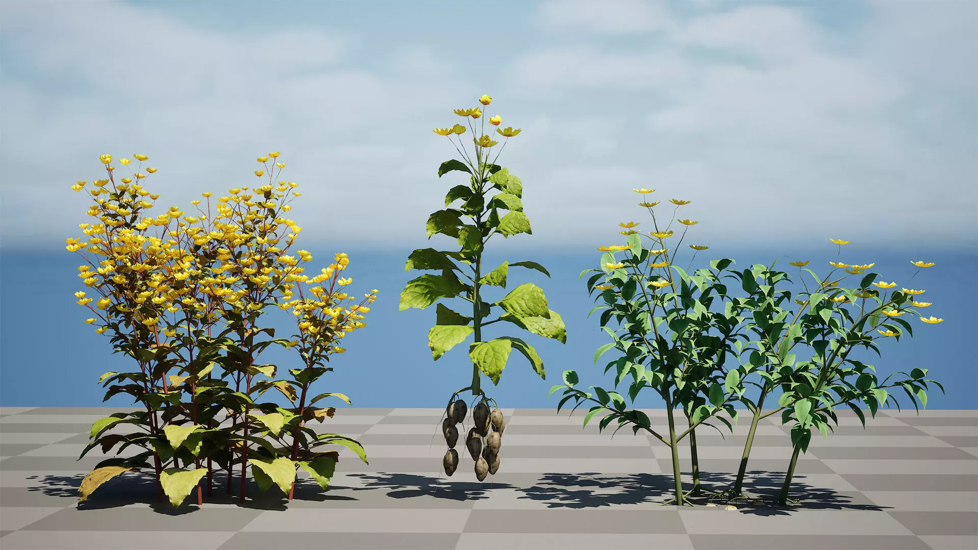 Jerusalem Artichoke 3D Model Pack Low-poly 3D model_8