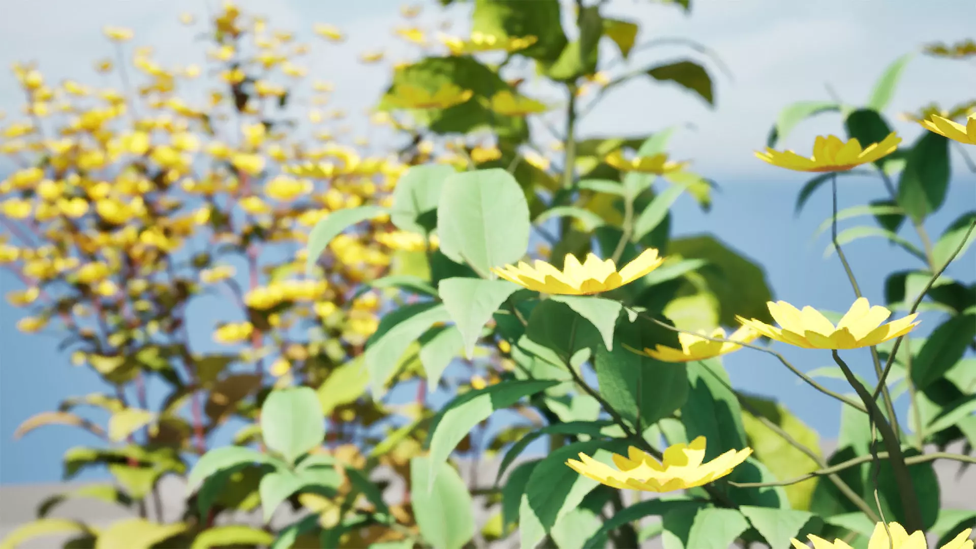 Jerusalem Artichoke 3D Model Pack Low-poly 3D model_9