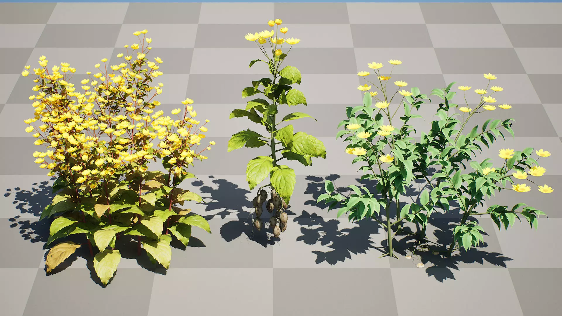 Jerusalem Artichoke 3D Model Pack Low-poly 3D model_7