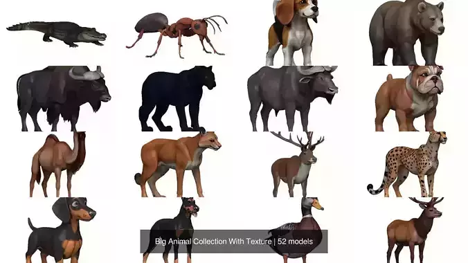 Big Animal Collection With Texture 