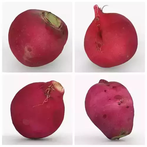 Photorealistic 3D scan of radishes