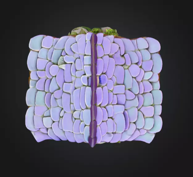 Magical Crystal House Low-poly 3D model_8