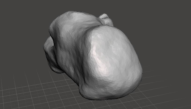 Left Calcaneus - human male 3D model_4