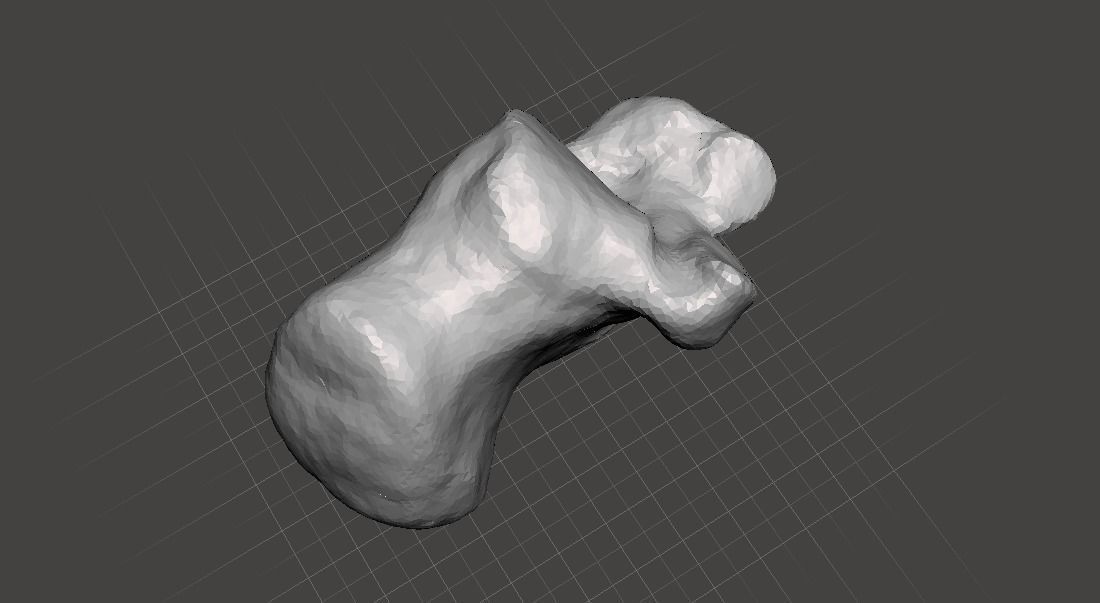 Left Calcaneus - human male 3D model_1