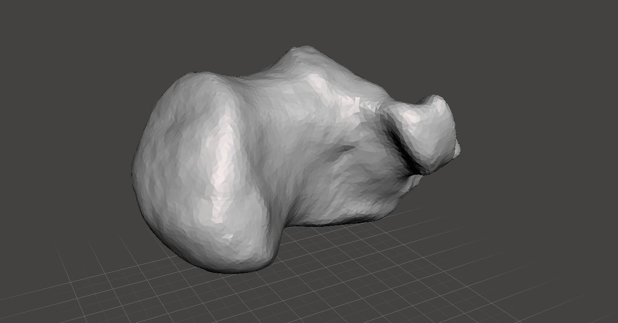 Left Calcaneus - human male 3D model_5