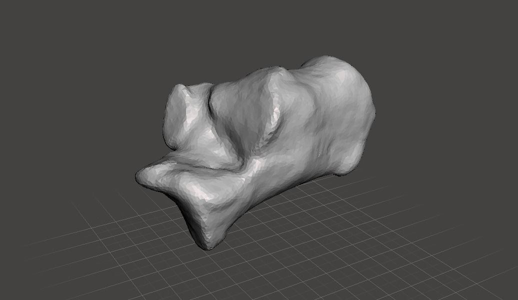 Left Calcaneus - human male 3D model_0