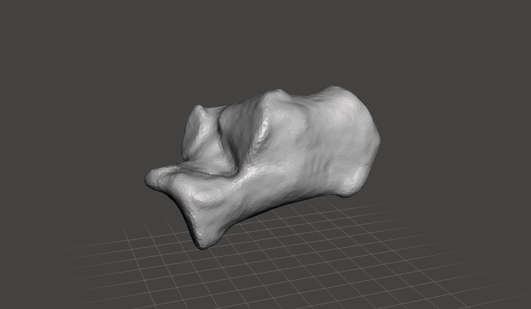 Left Calcaneus - human male 3D model_2