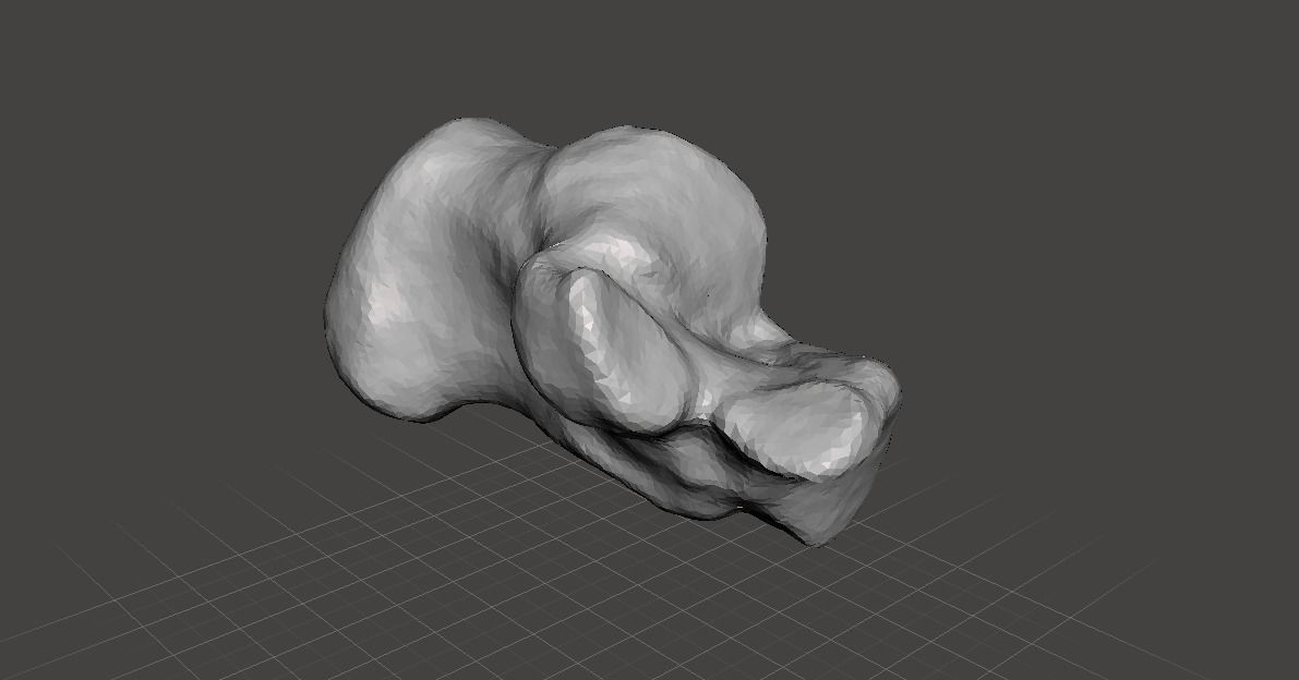 Left Calcaneus - human male 3D model_3