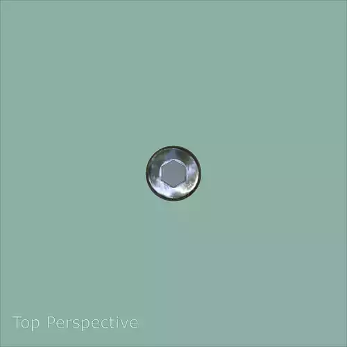 Steel Stained M5 Bolt Allen Pan Head 3D Model 3D model 7
